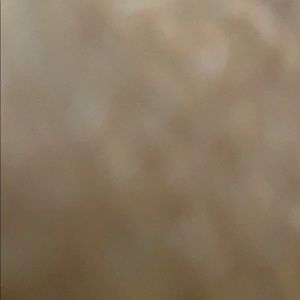 Meet your Posher, Lorenzo